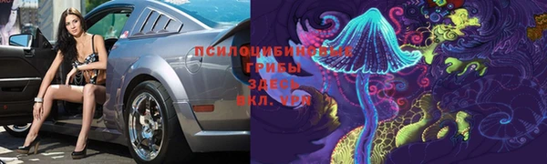 стафф Вязьма