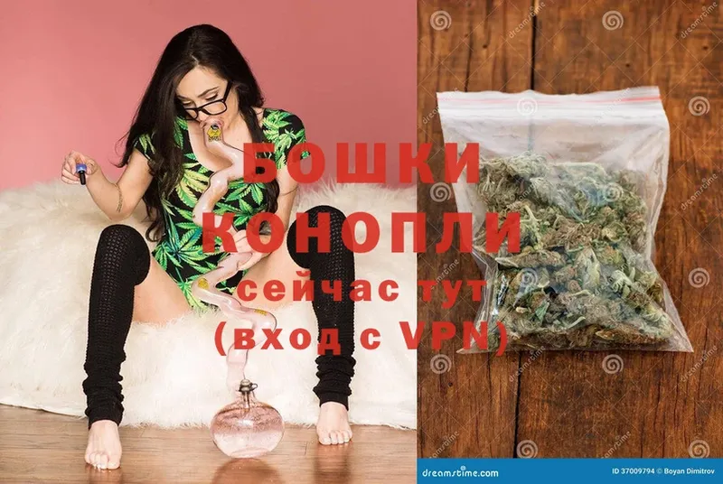 Канабис SATIVA & INDICA  Котово 